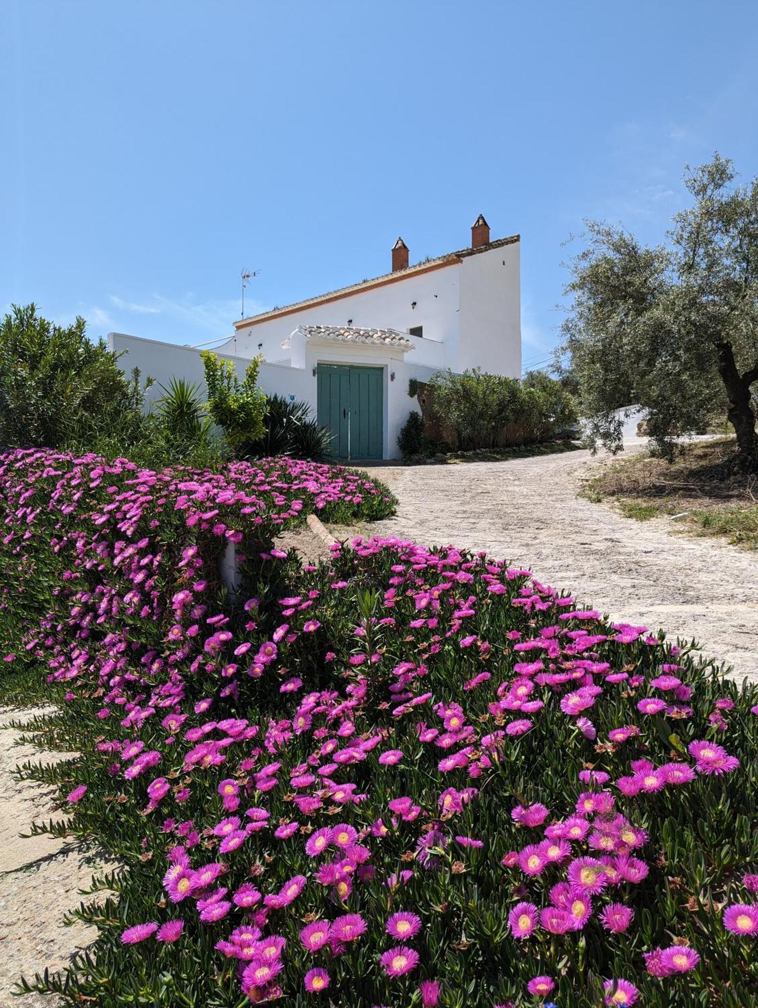 Iznájar Casa Las Majadillas מראה חיצוני תמונה